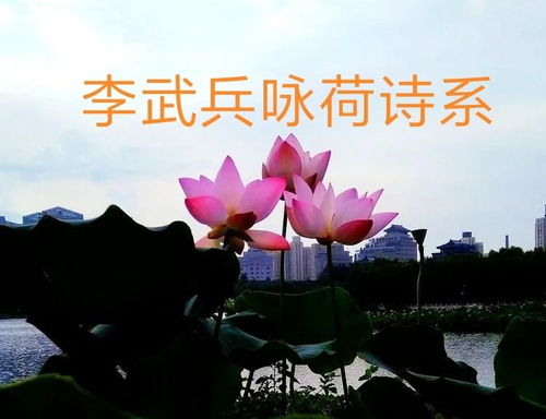 荷花,如此深刻地美麗 詠荷詩(shī)系之二