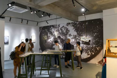 叮 您有一則來自鼓嶺文化小鎮的好友申請 故宮博物院